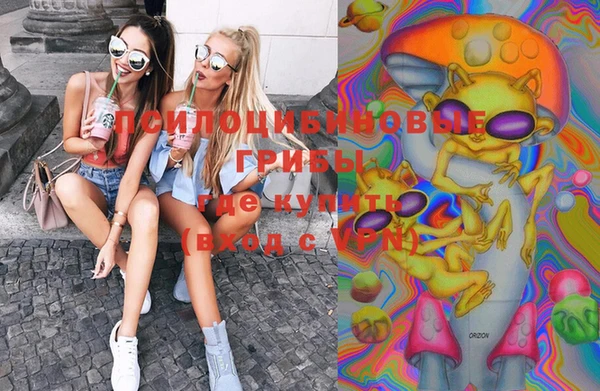 винт Верея