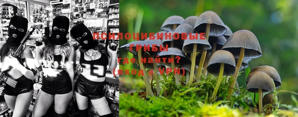 ALPHA PVP Бородино