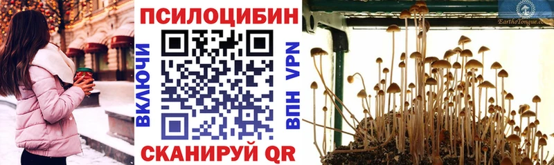 Галлюциногенные грибы мухоморы  hydra зеркало  Люберцы  закладки 